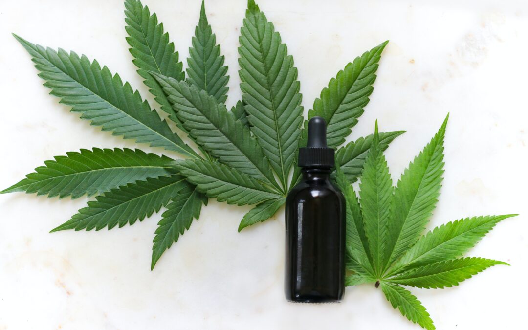 CBD for Beginners: Everything You Need to Know
