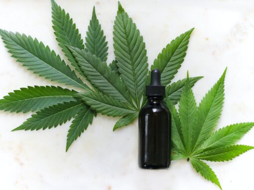 CBD for Beginners: Everything You Need to Know