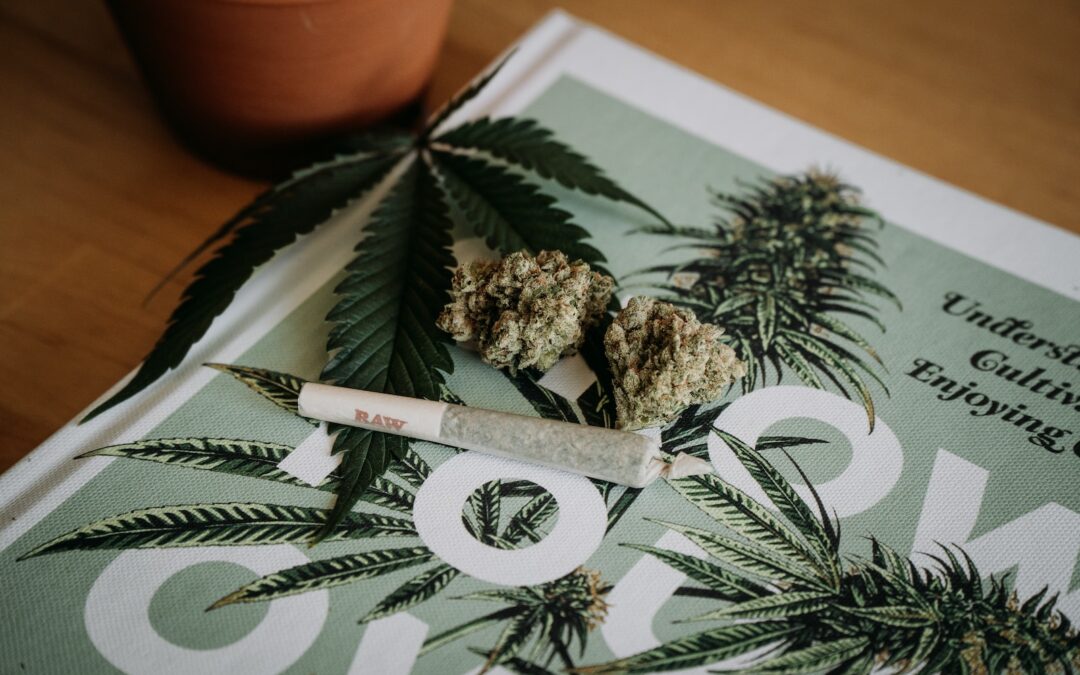 Blue Dream Strain: Explained