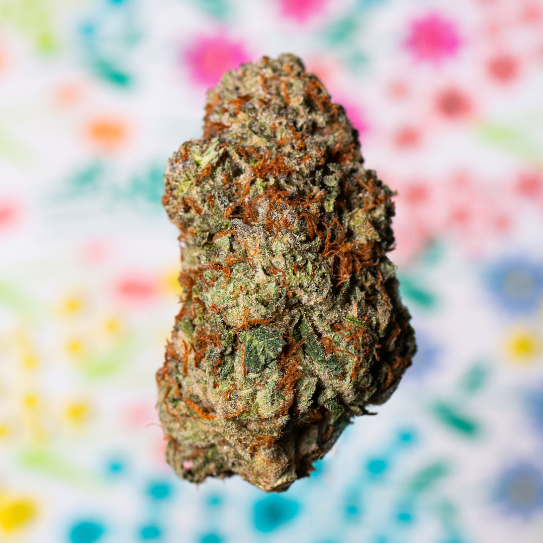 Exploring The Apple Fritter Strain | Hello Cannabis