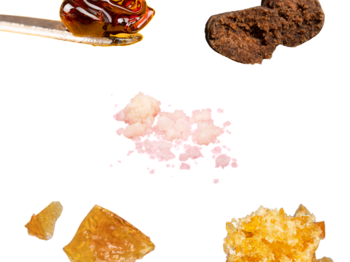 Weed Concentrates Explained